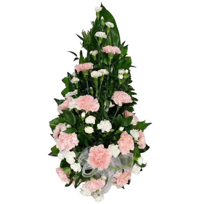 Suza - Karanfil beli i roze
